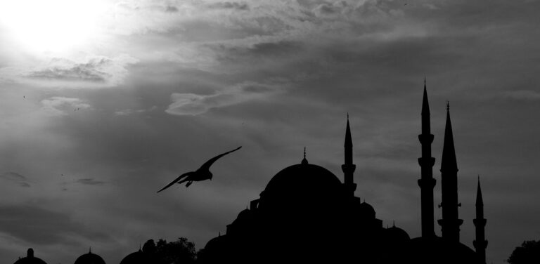 cami, minaret, bird, view, seagull, architecture, middle east, turkey, islam, minarets, architectural, city, istanbul, date, religion, beautiful, dome, sky, historical city, belief, town center, sultanahmet, nature, old, peace, suleymaniye, ramadan, fasting